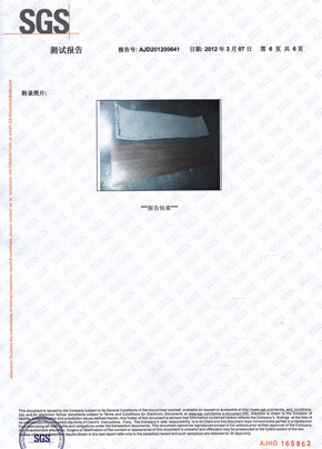 向日葵视频免费检查报告SGS（中）